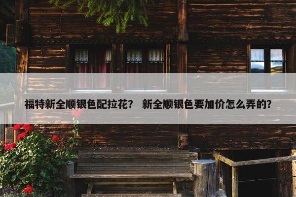 福特新全顺银色配拉花？ 新全顺银色要加价怎么弄的？