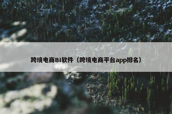 跨境电商BI软件（跨境电商平台app排名）