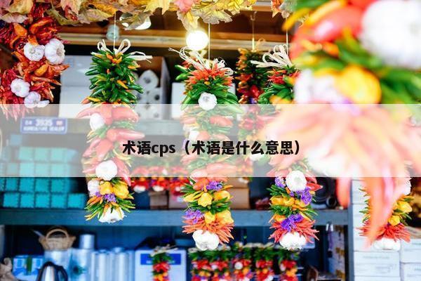 术语cps（术语是什么意思）