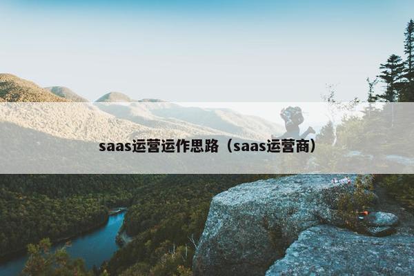 saas运营运作思路（saas运营商）