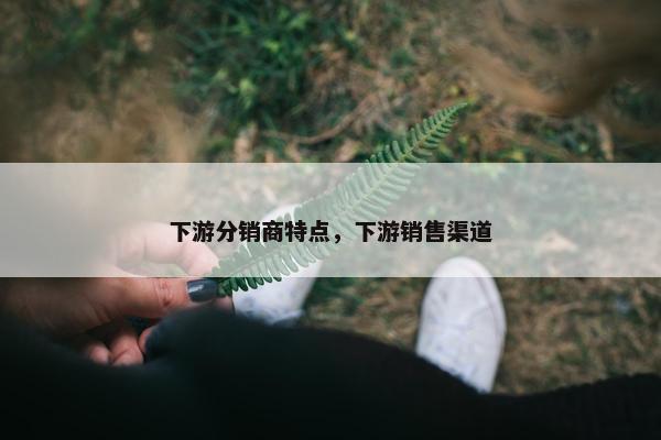 下游分销商特点，下游销售渠道
