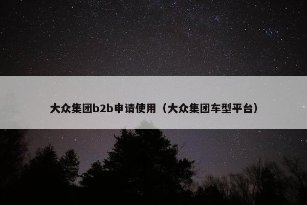 大众集团b2b申请使用（大众集团车型平台）