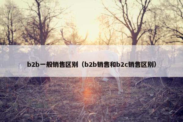b2b一般销售区别（b2b销售和b2c销售区别）