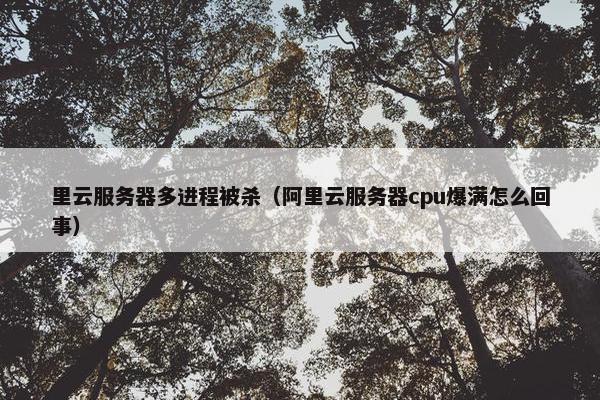 里云服务器多进程被杀（阿里云服务器cpu爆满怎么回事）