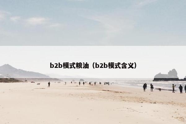 b2b模式粮油（b2b模式含义）