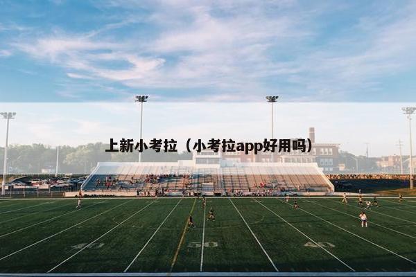 上新小考拉（小考拉app好用吗）