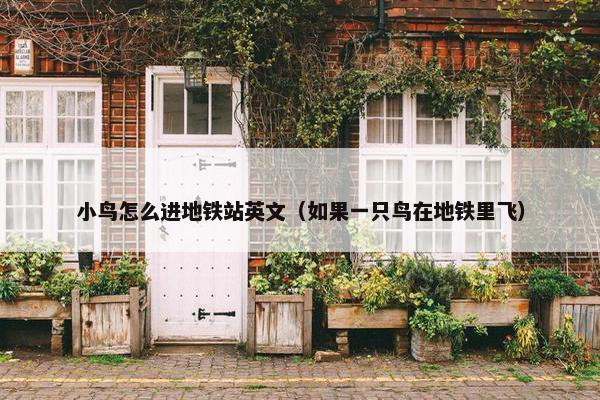 小鸟怎么进地铁站英文（如果一只鸟在地铁里飞）
