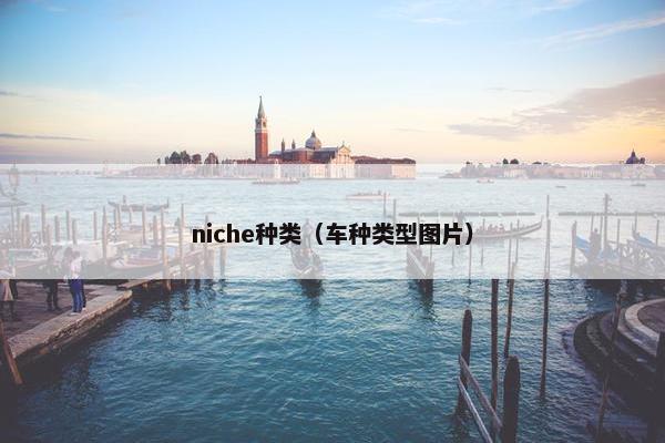 niche种类（车种类型图片）