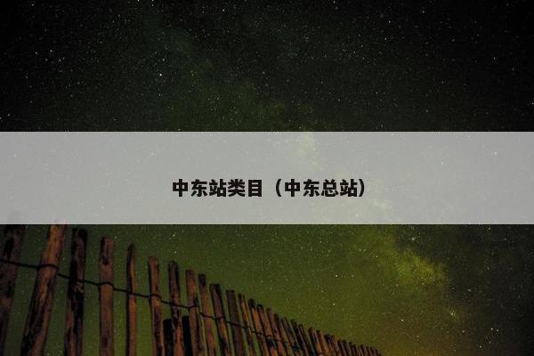 中东站类目（中东总站）