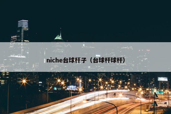 niche台球杆子（台球杆球杆）