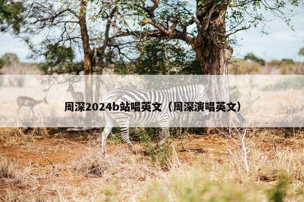 周深2024b站唱英文（周深演唱英文）