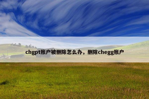 chgpt账户被删除怎么办，删除chegg账户