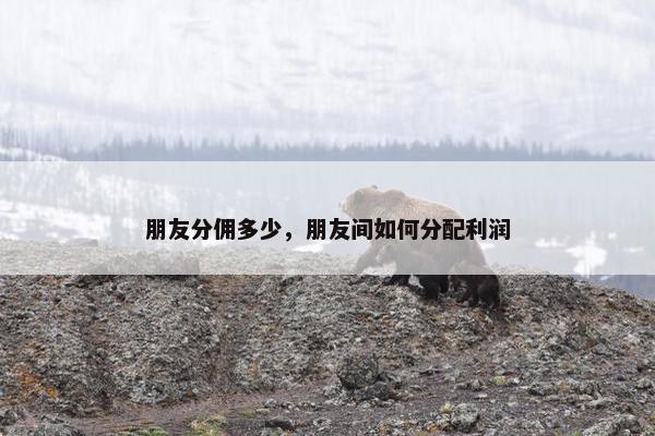 朋友分佣多少，朋友间如何分配利润