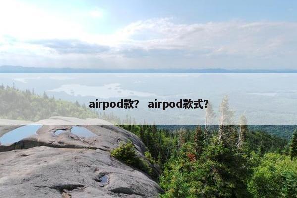airpod款？ airpod款式？