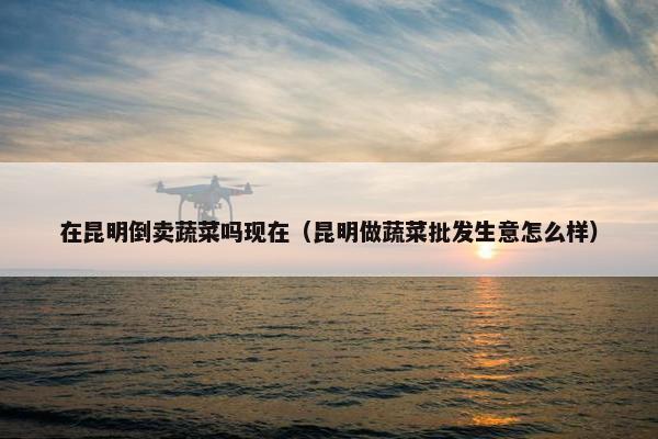 在昆明倒卖蔬菜吗现在（昆明做蔬菜批发生意怎么样）