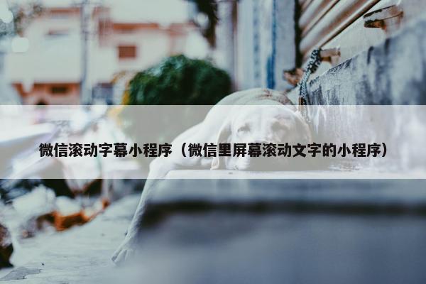 微信滚动字幕小程序（微信里屏幕滚动文字的小程序）