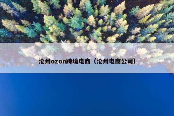 沧州ozon跨境电商（沧州电商公司）