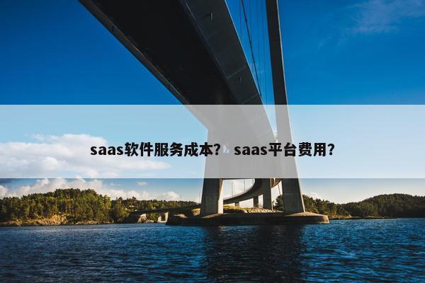 saas软件服务成本？ saas平台费用？