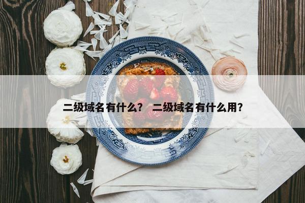 二级域名有什么？ 二级域名有什么用？