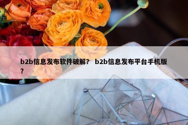 b2b信息发布软件破解？ b2b信息发布平台手机版？