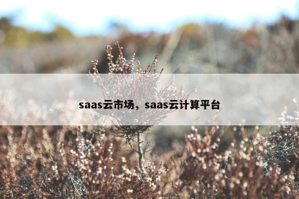 saas云市场，saas云计算平台