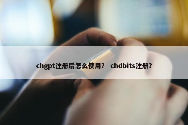 chgpt注册后怎么使用？ chdbits注册？