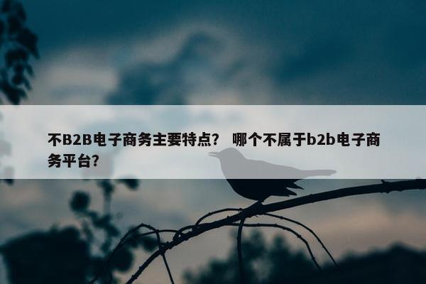 不B2B电子商务主要特点？ 哪个不属于b2b电子商务平台？