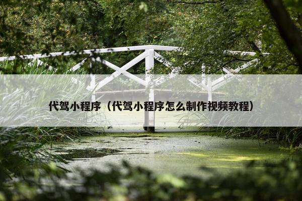代驾小程序（代驾小程序怎么制作视频教程）