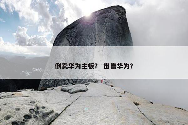 倒卖华为主板？ 出售华为？