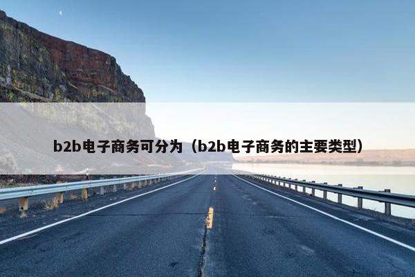 b2b电子商务可分为（b2b电子商务的主要类型）