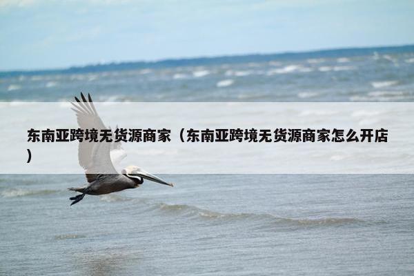 东南亚跨境无货源商家（东南亚跨境无货源商家怎么开店）