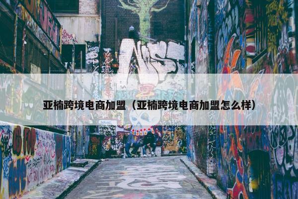 亚楠跨境电商加盟（亚楠跨境电商加盟怎么样）