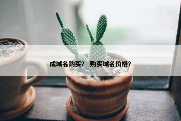 成域名购买？ 购买域名价格？