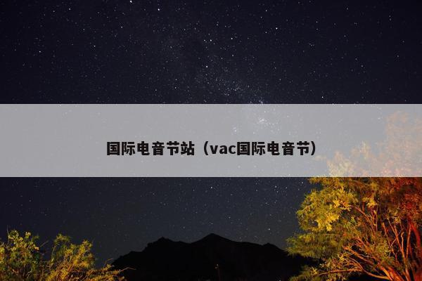 国际电音节站（vac国际电音节）