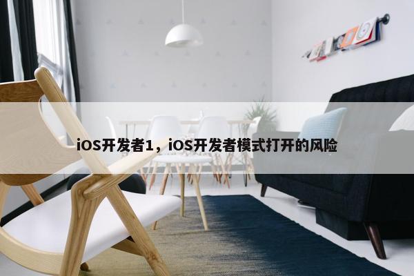 iOS开发者1，iOS开发者模式打开的风险