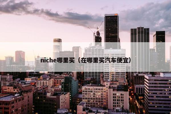 niche哪里买（在哪里买汽车便宜）