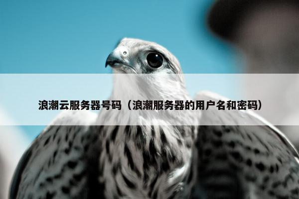 浪潮云服务器号码（浪潮服务器的用户名和密码）