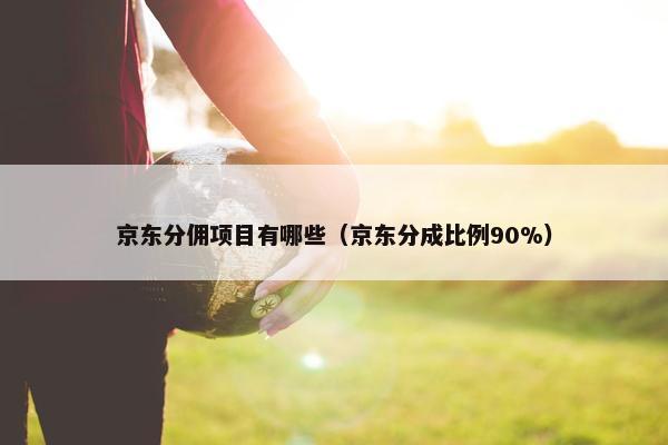 京东分佣项目有哪些（京东分成比例90%）