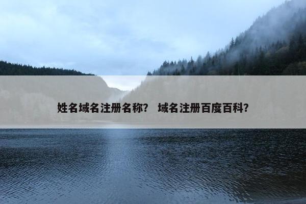 姓名域名注册名称？ 域名注册百度百科？