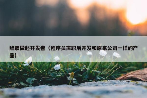 辞职做起开发者（程序员离职后开发和原来公司一样的产品）