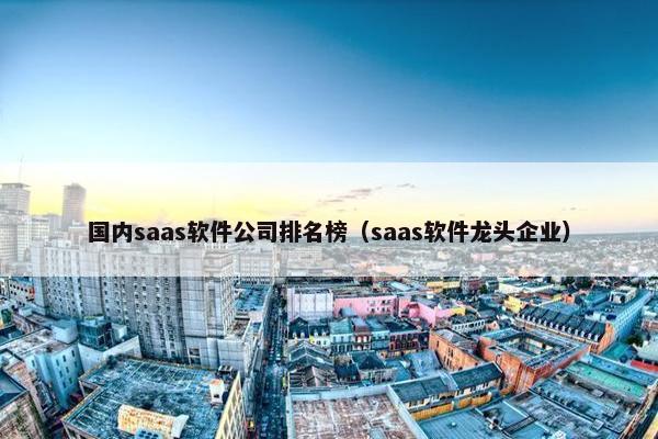 国内saas软件公司排名榜（saas软件龙头企业）