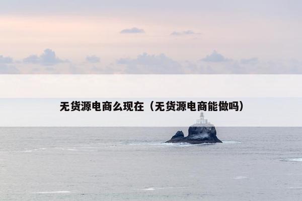 无货源电商么现在（无货源电商能做吗）