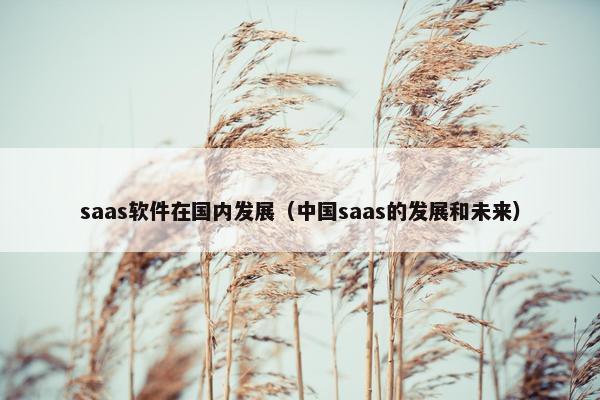 saas软件在国内发展（中国saas的发展和未来）