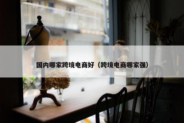 国内哪家跨境电商好（跨境电商哪家强）
