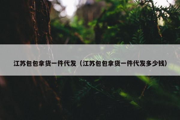 江苏包包拿货一件代发（江苏包包拿货一件代发多少钱）