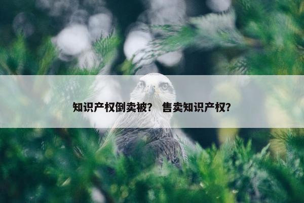 知识产权倒卖被？ 售卖知识产权？