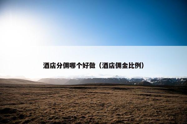 酒店分佣哪个好做（酒店佣金比例）