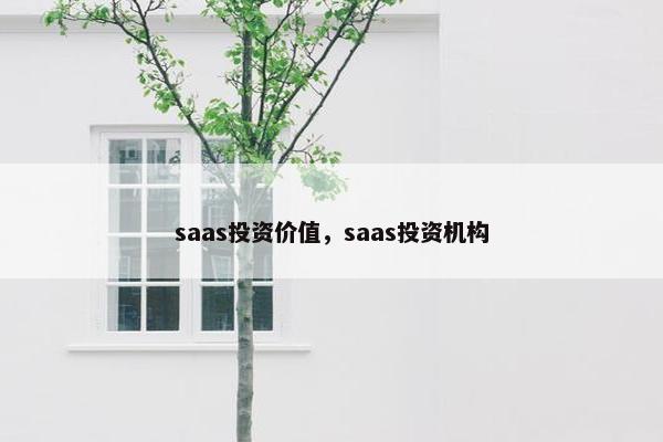 saas投资价值，saas投资机构