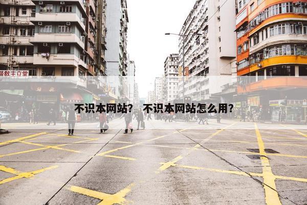 不识本网站？ 不识本网站怎么用？