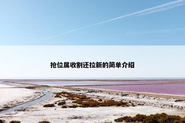 抢位属收割还拉新的简单介绍
